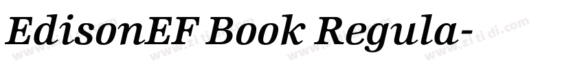 EdisonEF Book Regula字体转换